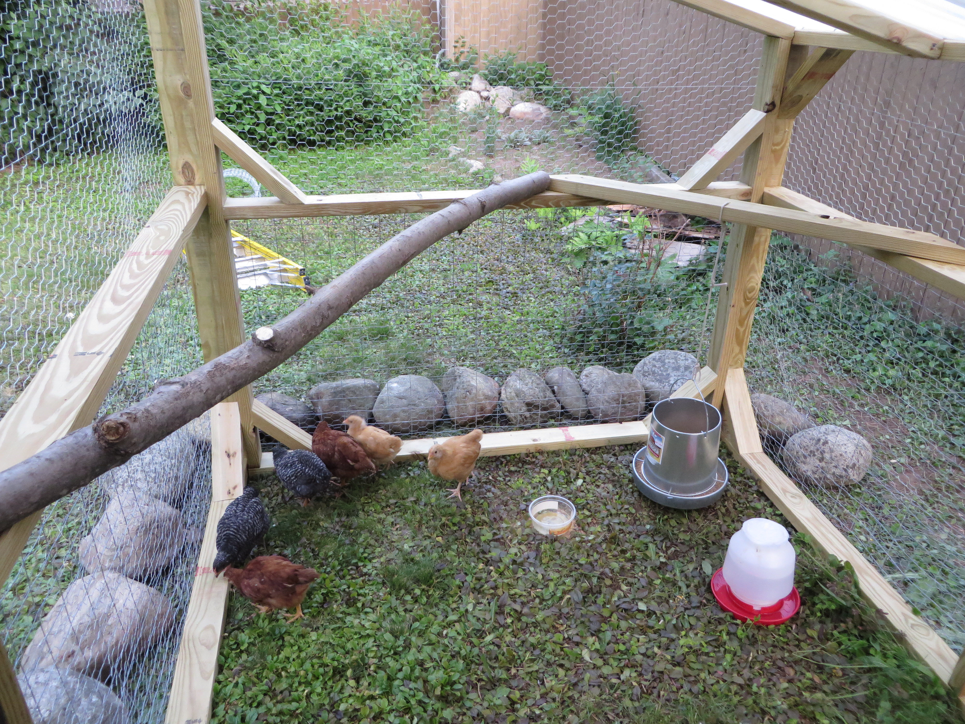 I added roosts at a few different levels and a hanger for the food.