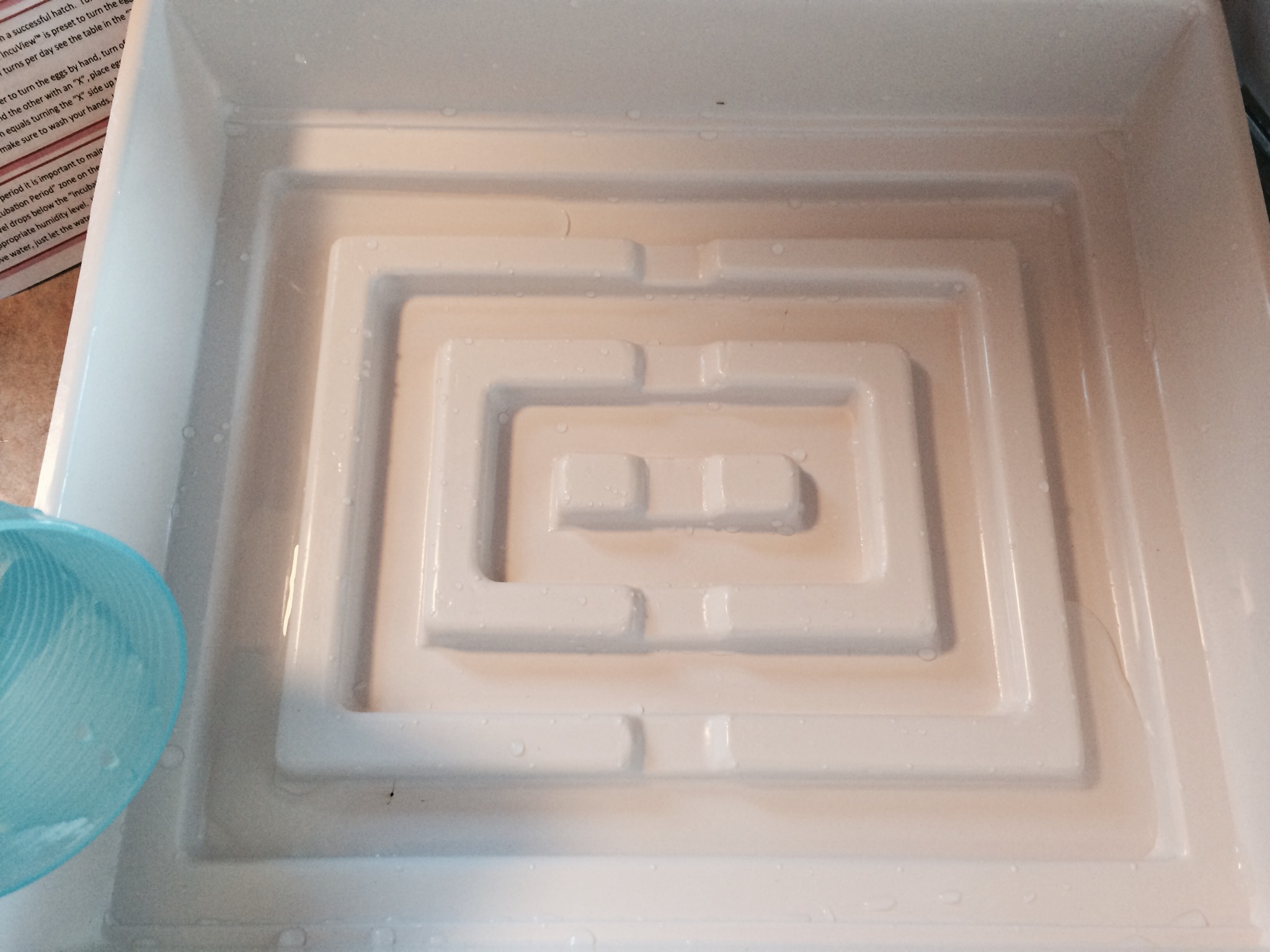 I added water, per the instructions, to the outer ring only.