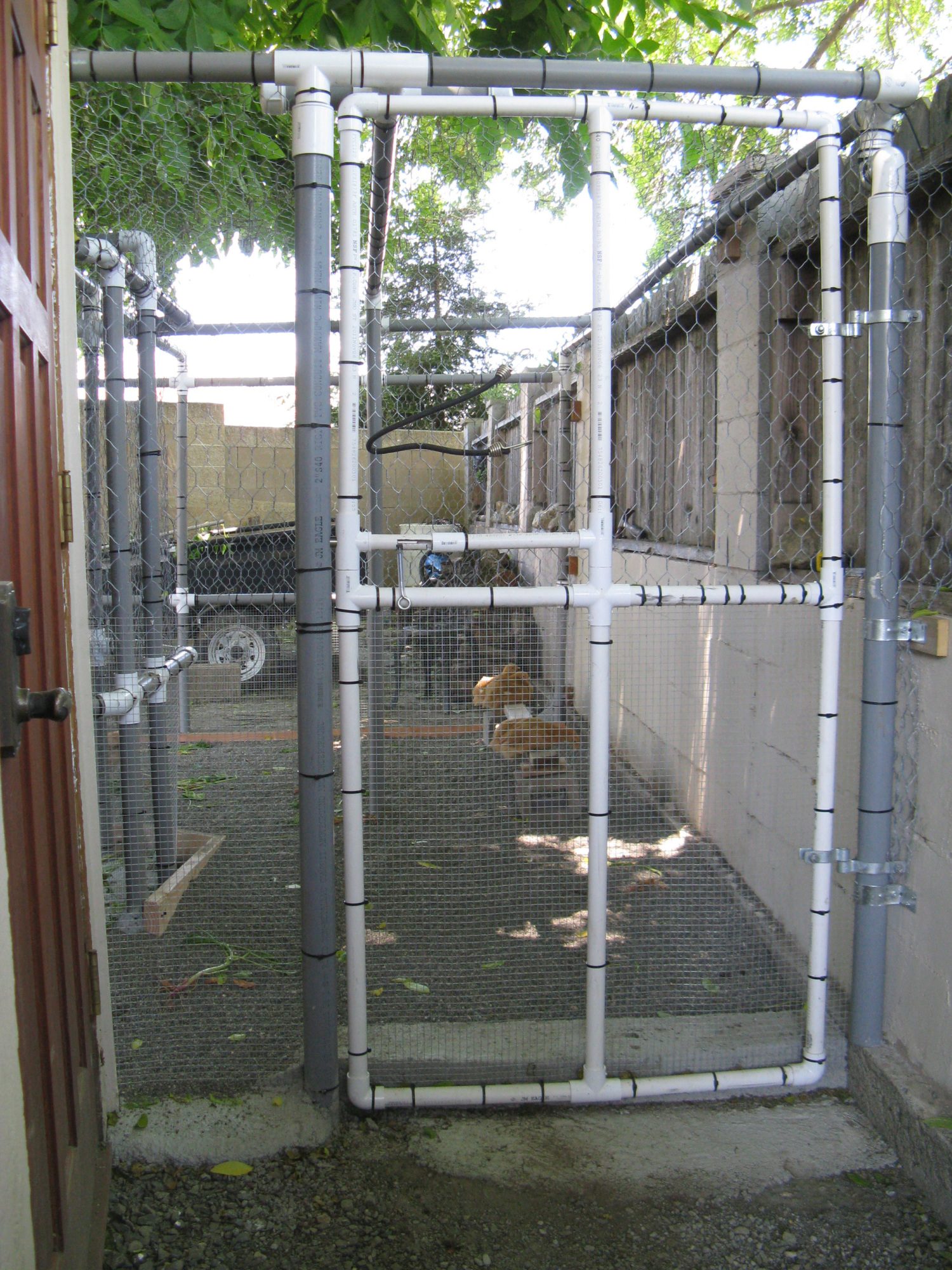 I am happy with how the gate turned out. I had to add a cement barrier at the bottom after three of the chicks squeezed out. I figured if they could get out, something else could get in.