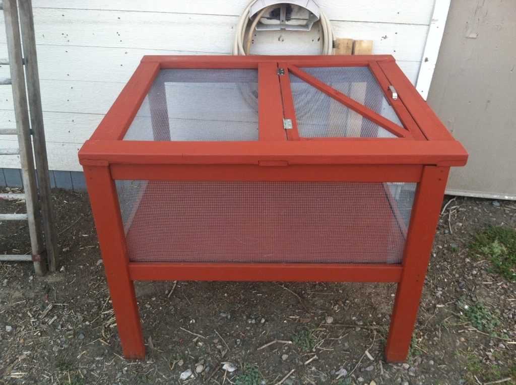 I built this brooder by transforming a table base I found at a thrift store ($7). I added the platform in the middle, which sits on support boards. The top I constructed from 2x4s and materials I found around the farm. There is hardware mesh surrounding on all sides and top. It is stained with leftover fence & wood stain.. It turned out great! Later, I also added roosts and built in electrical lamp sockets for heat lamps.