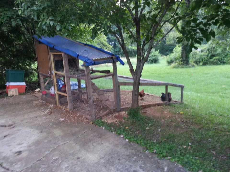 *
i connected tarps to the edges of the roof and can drop them for a rain barrier when we are expecting rain. the run is open but the rear roof tarp will cover some of the run so the girls don't have to stay "cooped up" when it's raining.