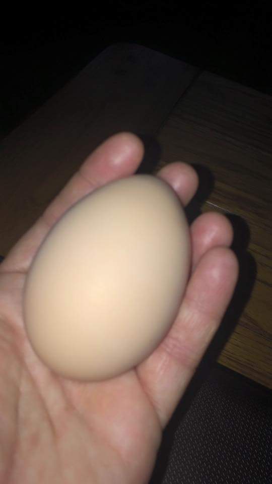 I couldn't believe the size of this egg! My rhode island reds have been laying for about 3 weeks.