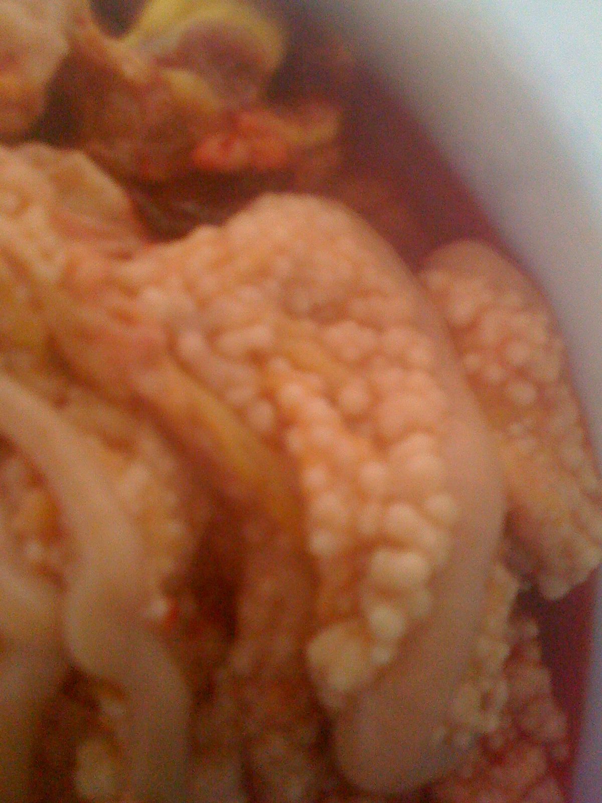 I discovered my chicken was egg bound, once I opened her up lots of fluid poured out. And 
she had what looked like tumors or nodules all along her intestines. They look like round light beige\white cottage cheese curds. I cut open open, It was a capsule with white center. The vet does not know what they are and a sample can be sent to a lab to find out. Has any one else seen this or know what they are? I'll try and add pictures.