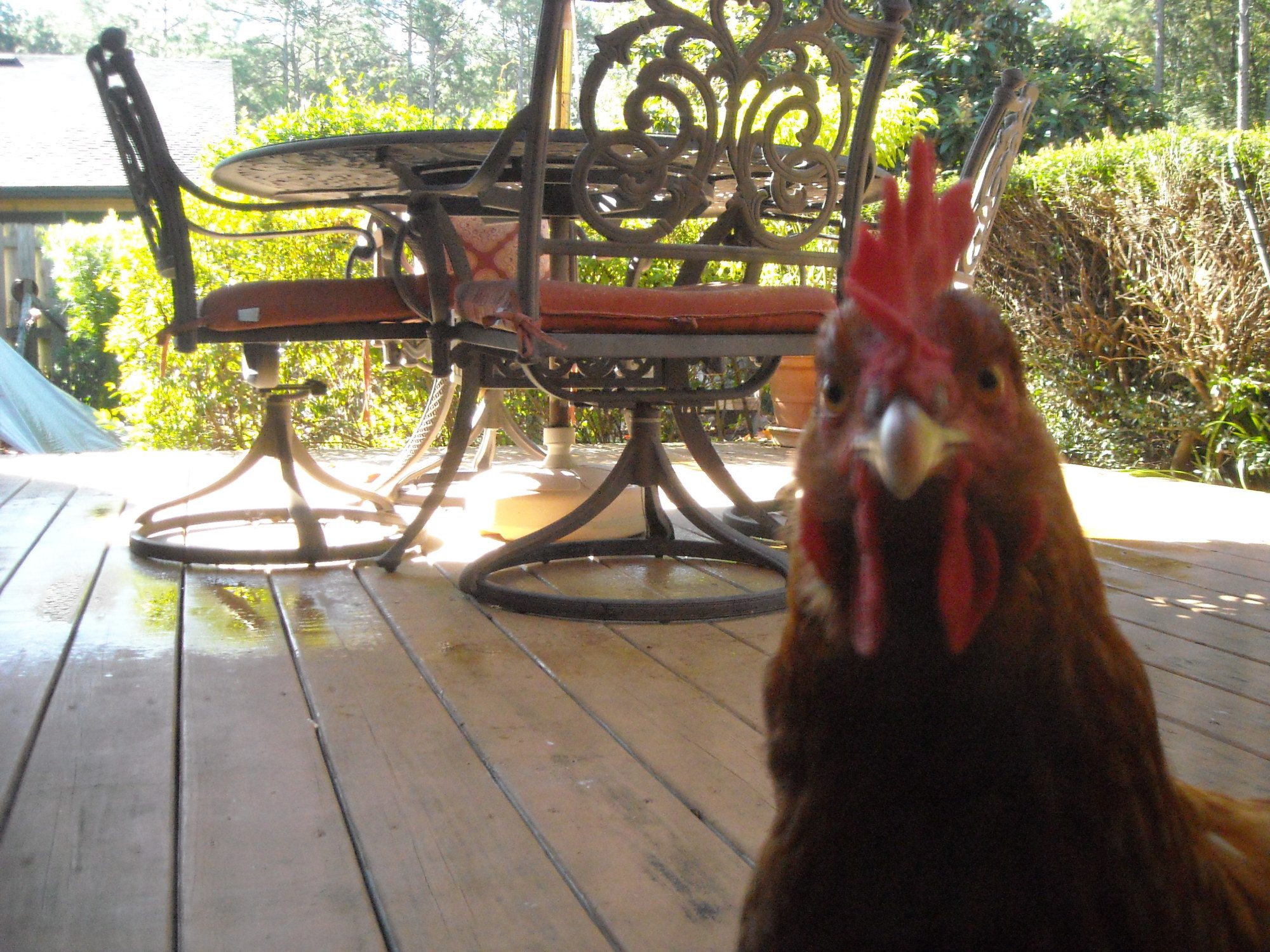 I do not like this screen door one bit ma, just sayin'!