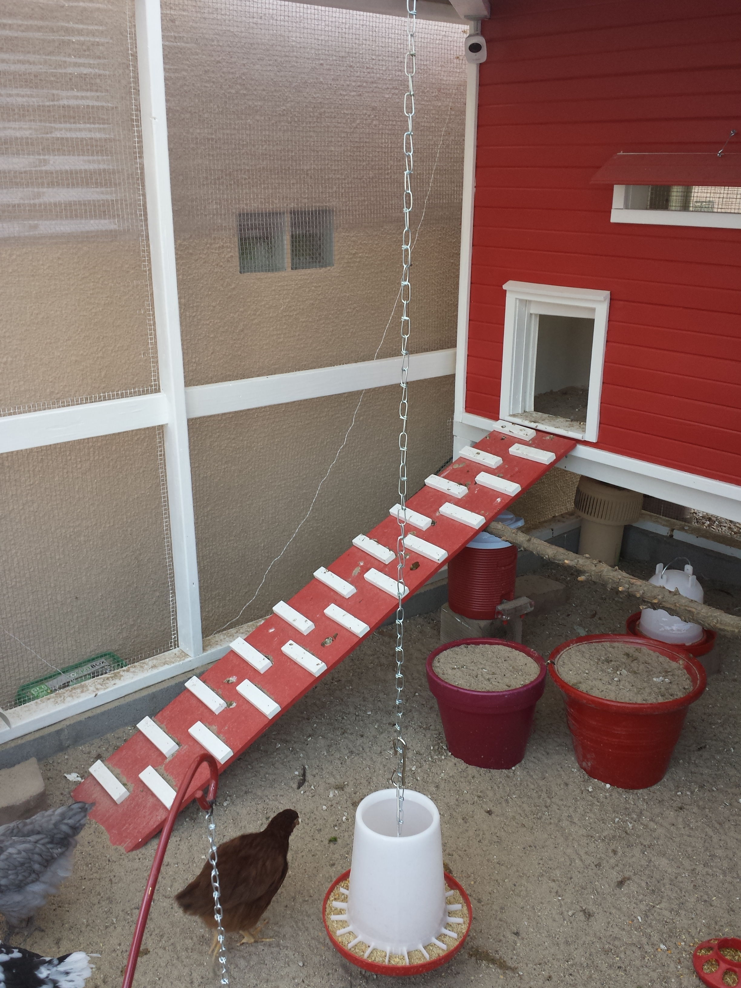 I filled a couple plant pots with sand for the girls to sit on... I will remove them soon... they rarely site on them. They do seem to like the sand...
