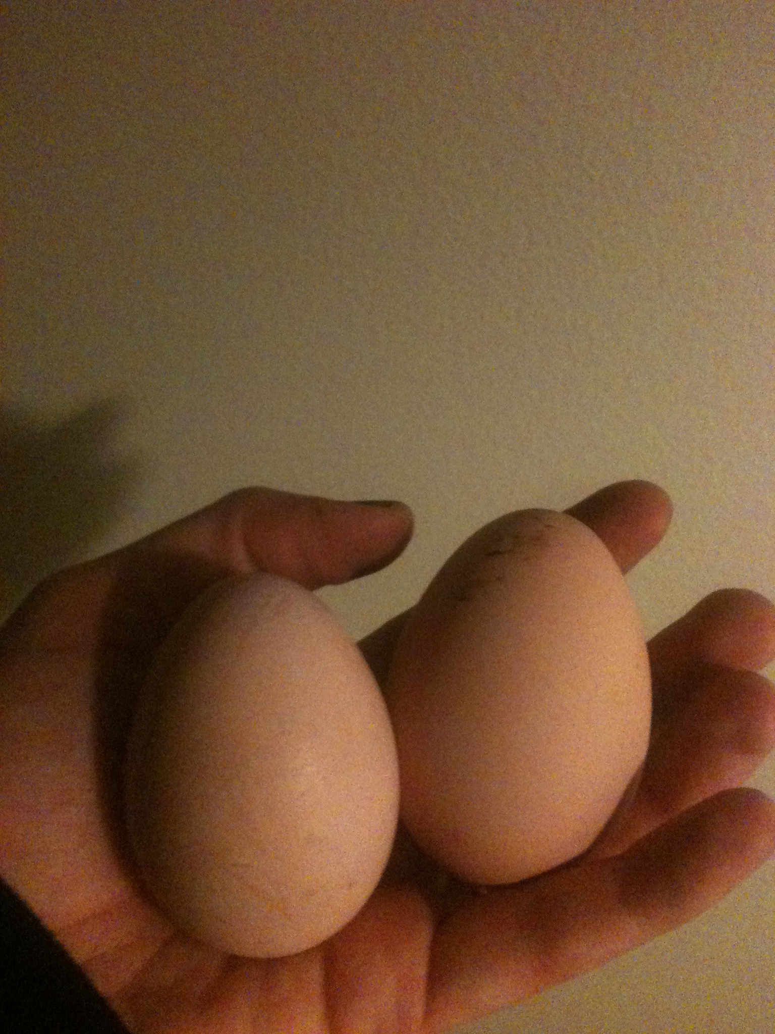 I got eggs!!!