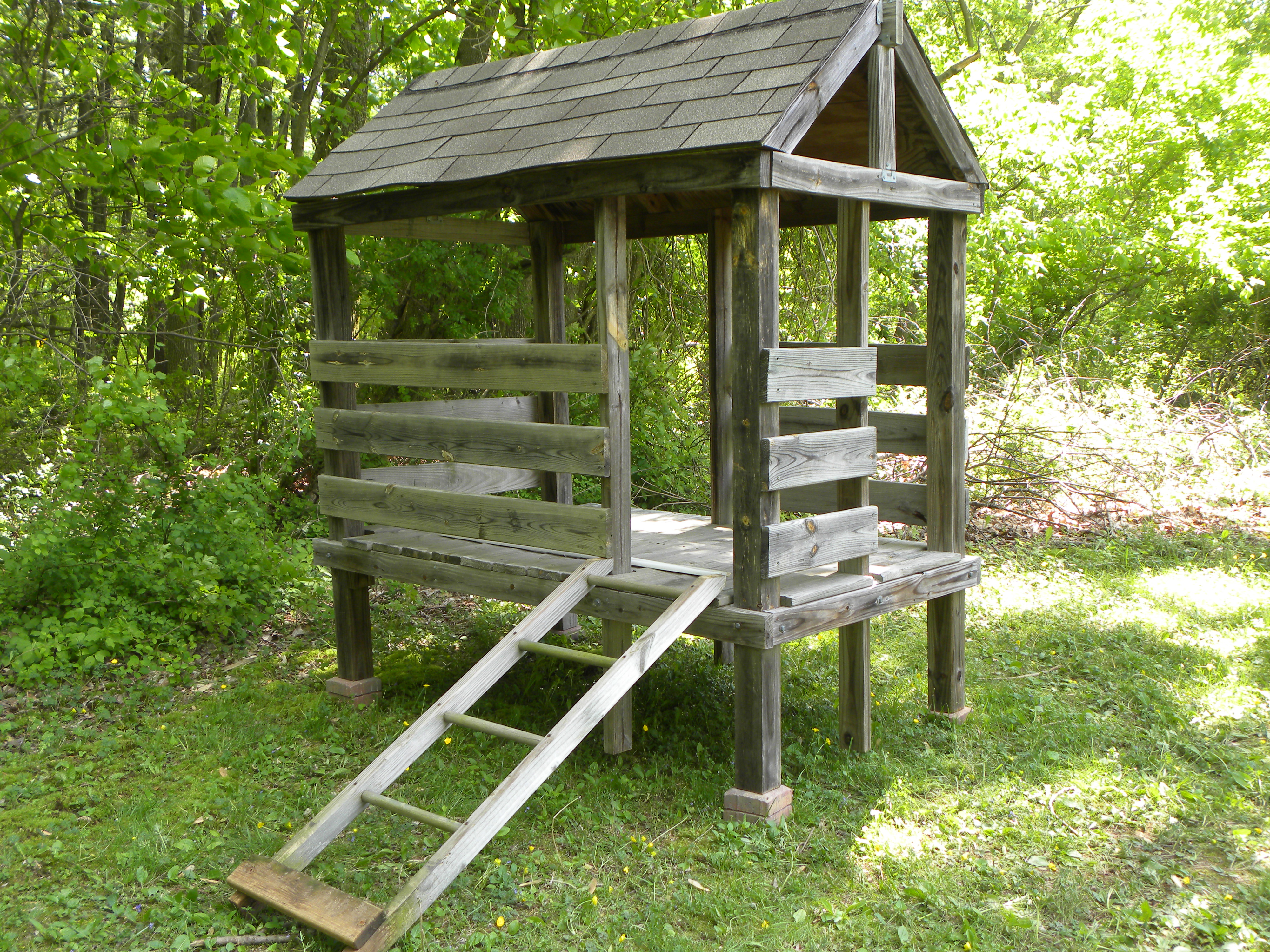 I got this for free off of Craigslist. It was the end climbing tower of a children's swing set. The perfect start for our first coop.