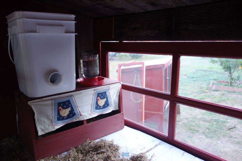 I had read that hens like curtains in front of their nesting boxes. I sewed them some curtains, using some chicken fabric I had!