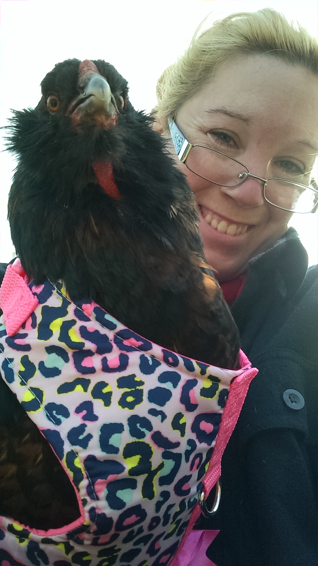 I had some fun with my girls and put them in dog harnesses. Drunk Mario liked the leopard print.