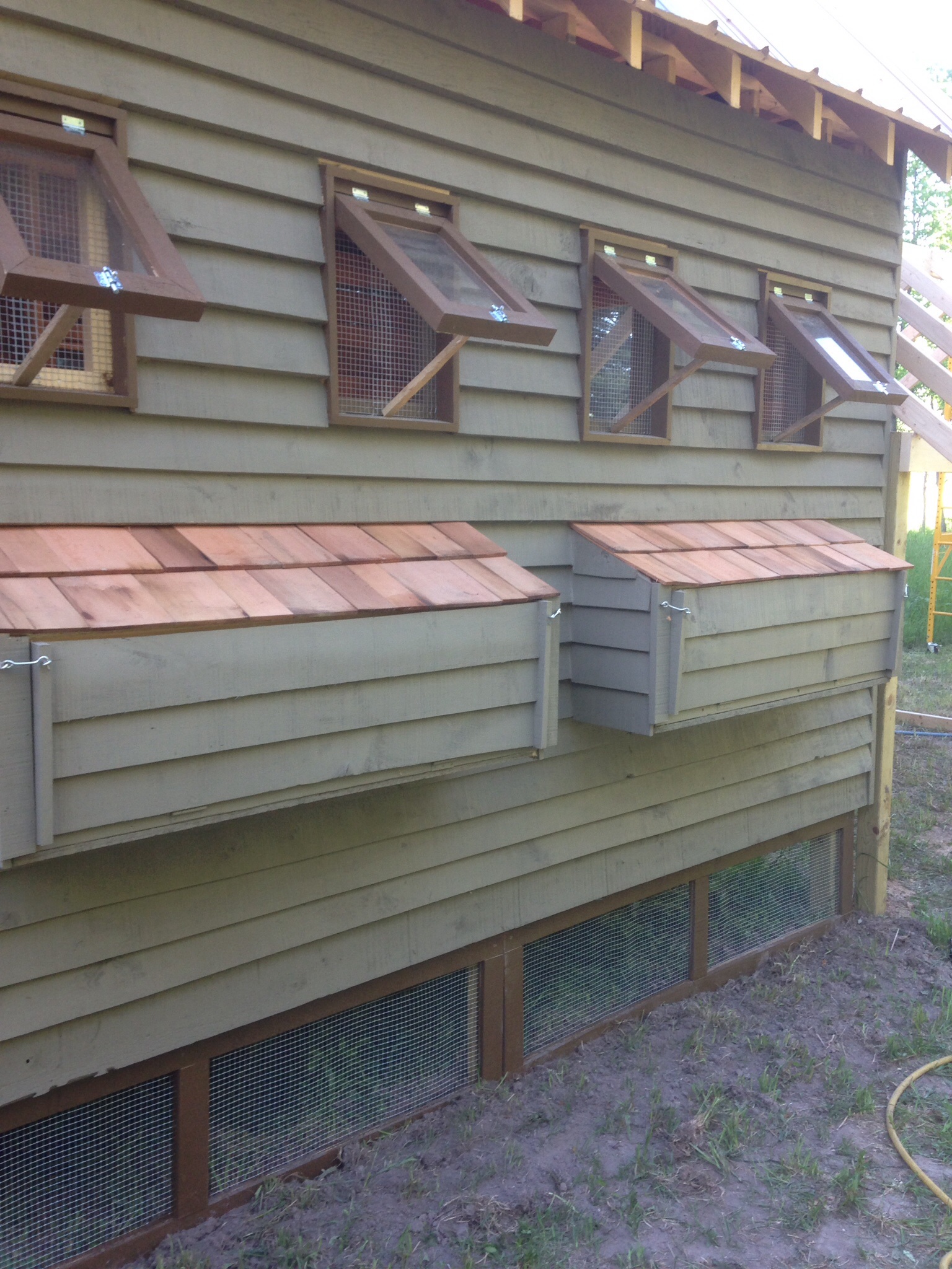 I had to redo the nesting box shingles with cedar.