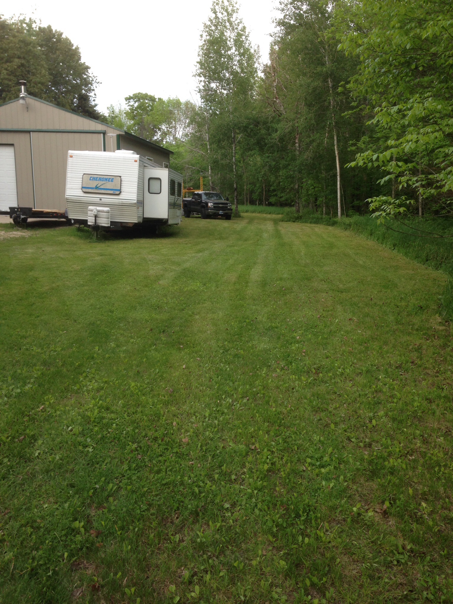 I had to take the time to cut the grass, it was getting pretty shabby around here.