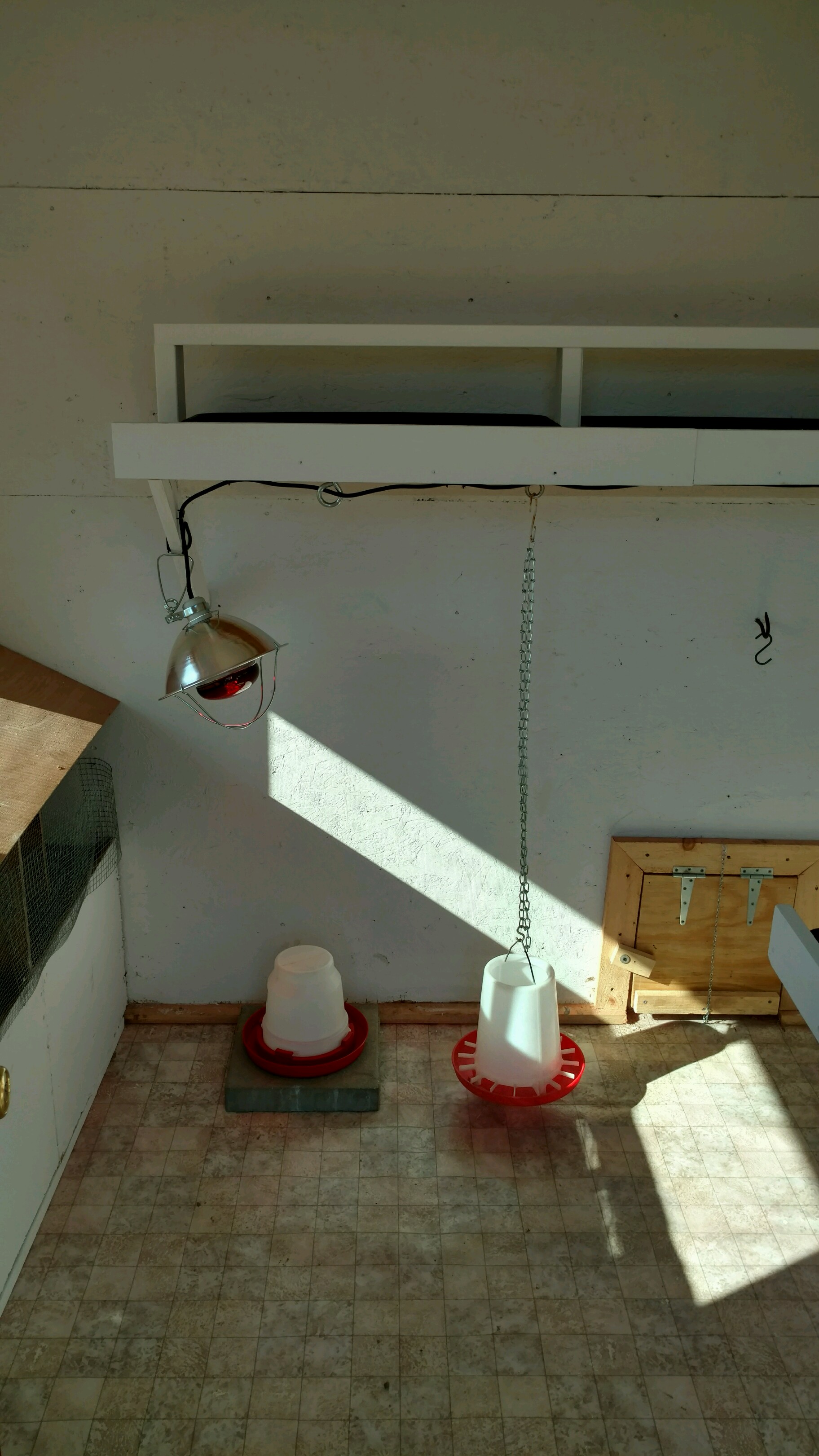 I have 2 heat lampsone over the water and one up above a roost. The