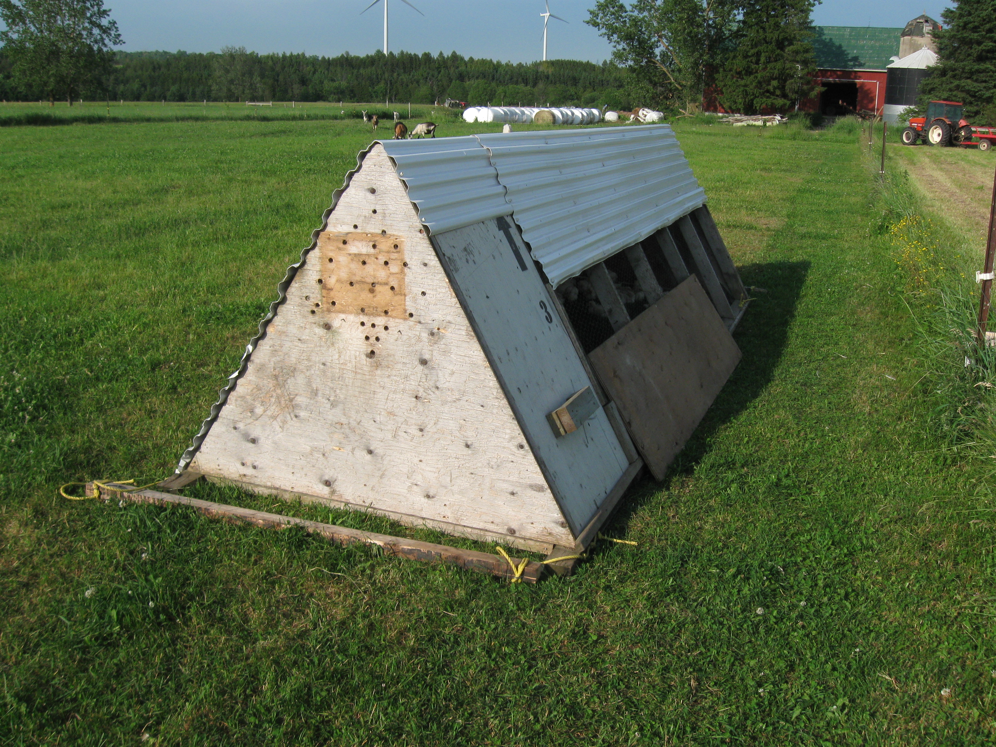 I have two of these coops for broilers it is 5x16 and has no bottom for the birds to eat grass