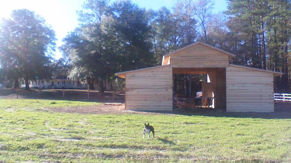 *
I just got my new DONKEY BARN built and now have 2 Miniature Donkey and 3 goats