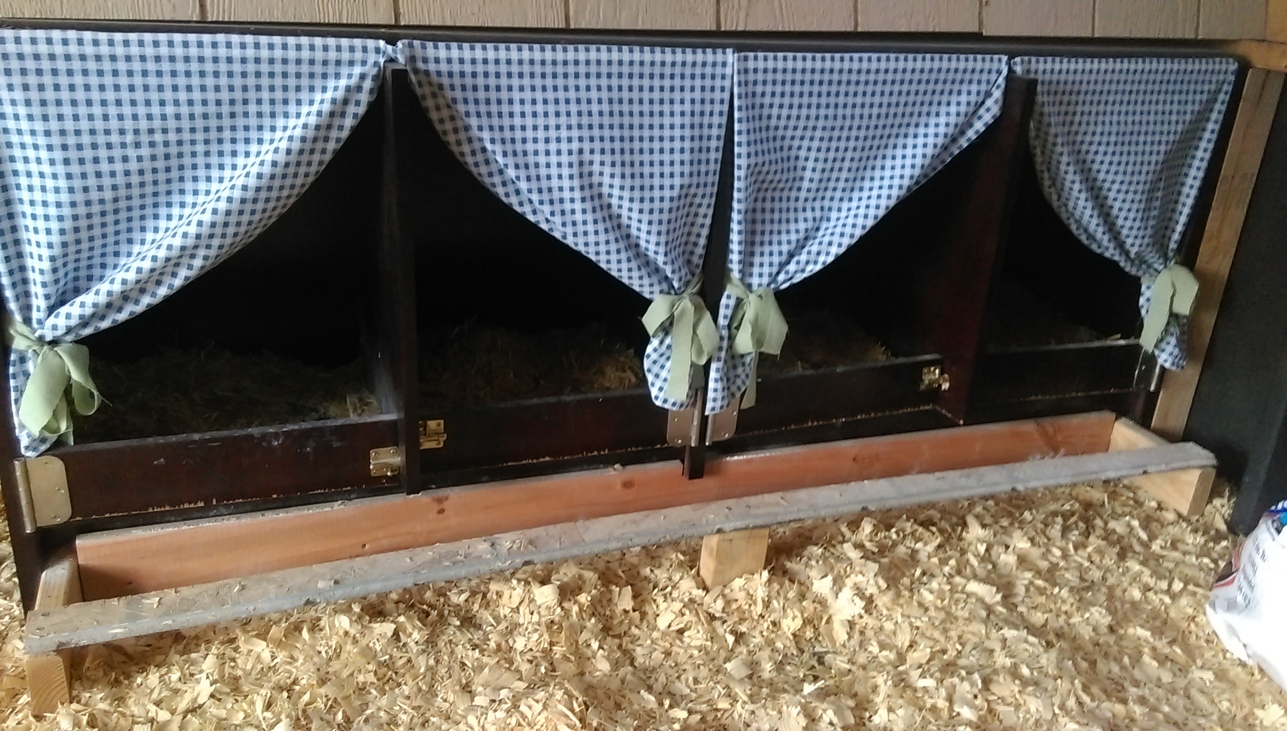 I just had to add curtains. Nest boxes are the top hutch of an office desk cut down short and removed doors.