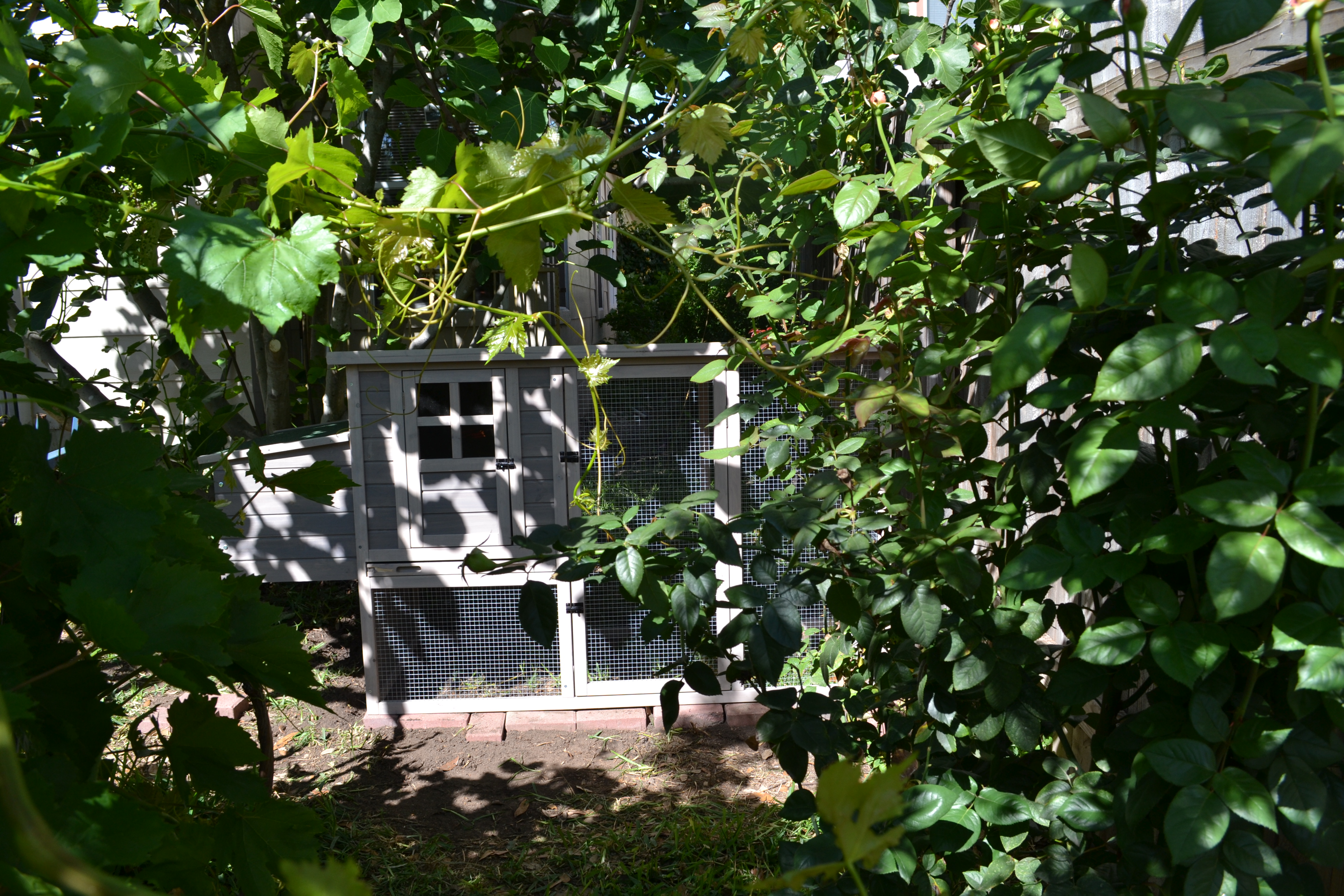 I know they'll destroy much of the greenery, but glad they'll have a lot of shade available in the hot South Texas summers.