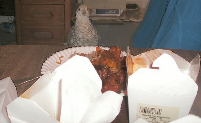 I like chinese food