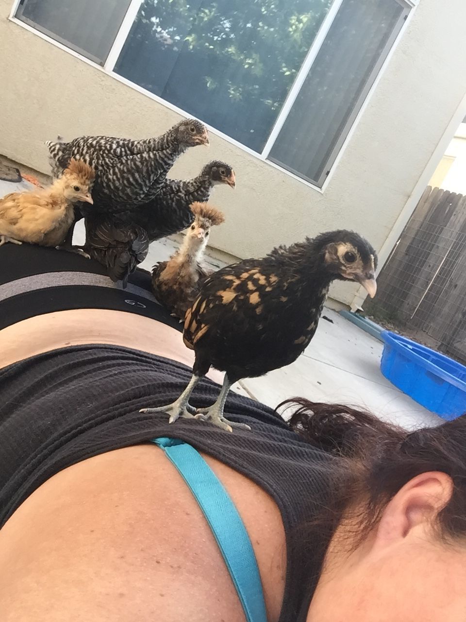 I like to lay in a clean spot on the patio while they're out... Next thing I know, I'm the bed lol