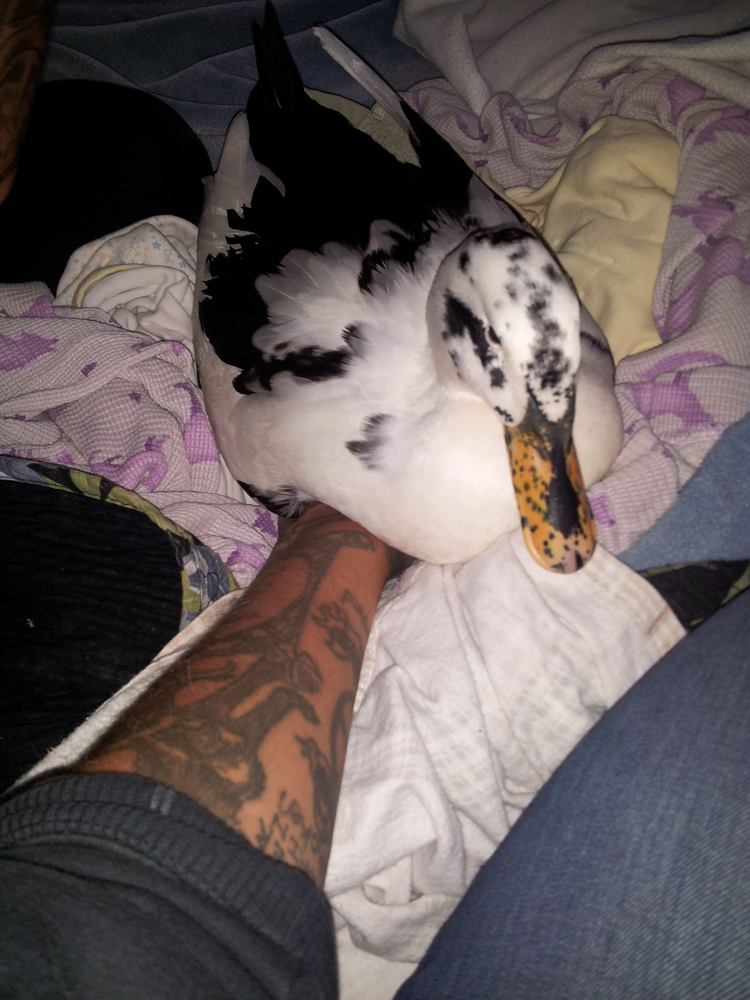 I lose my hand every night....