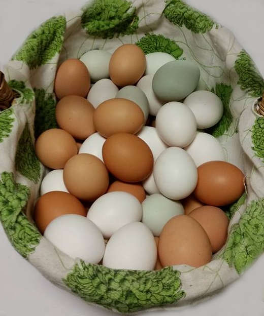 I love a basket of pretty eggs!  It never gets old!