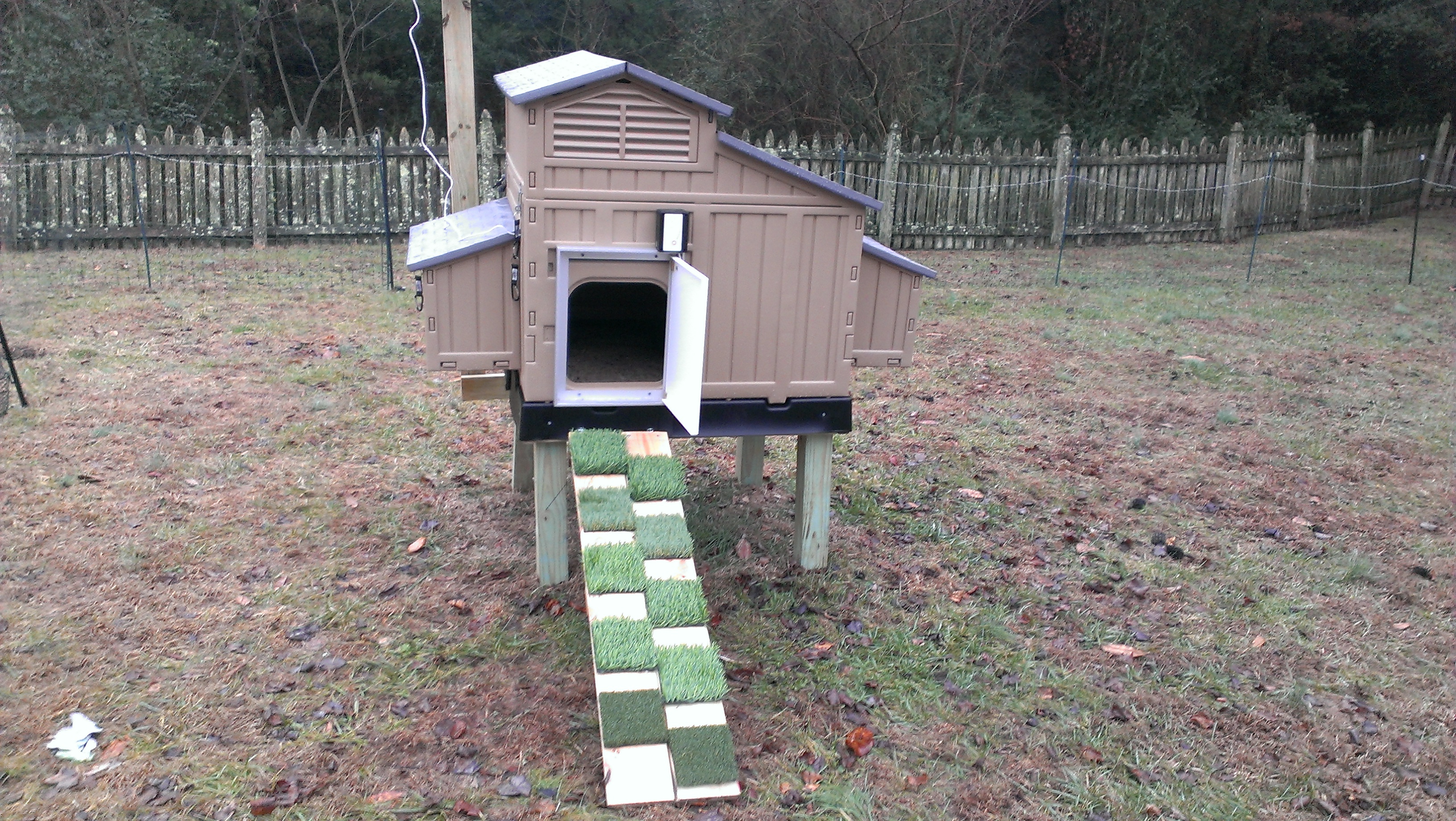 I love the Pullet Shut chicken door!  Solar panel is mounted on a lazy Susan type gadget so I can adjust as needed.  Trying out synthetic lawn patches for traction up the ramp.  If they keep trying to eat it I may need to use plain wooden steps.