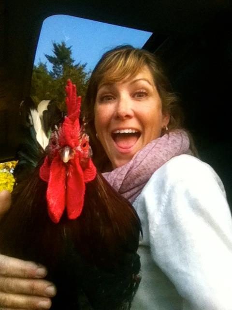 I LOVE this sweet Rooster