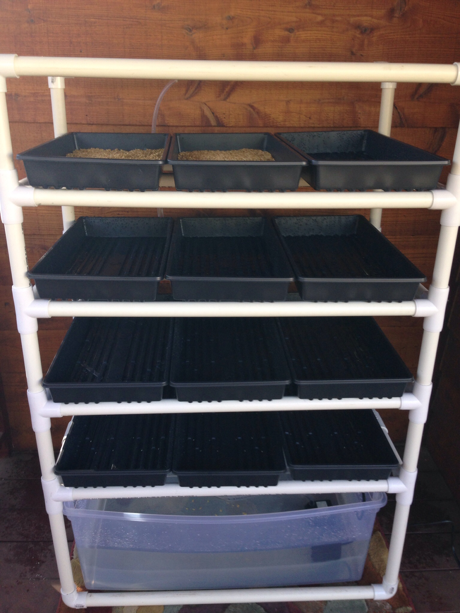I placed a batch of soaked (12 hours)  whole barley yesterday and then another batch today. We placed the Fodder Station on our covered deck.