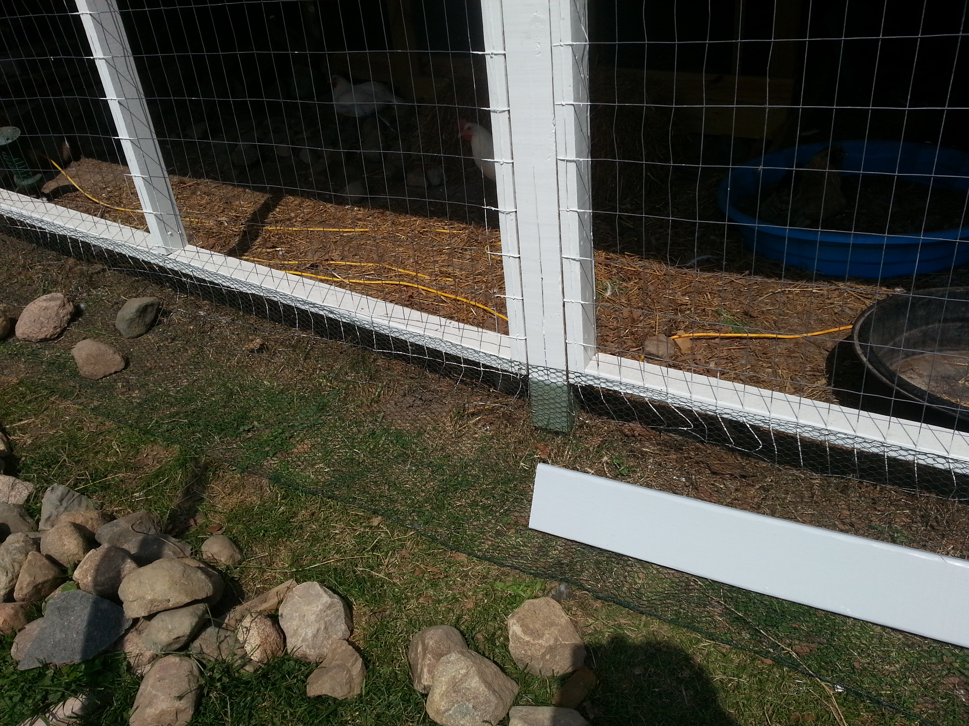 I put pre- painted 1x6 deck boards all around the bottom to help keep predators from prying at the wire there. I have changed the coated 1/2 inch chicken wire out to 1/2 inch hardware cloth that extends 18 inch out. This spring I plan to add a 2 foot extension from that and put    crusher run stones all around about 3 inches deep and 3 foot wide to make a nice path and finish off the predator barrier.