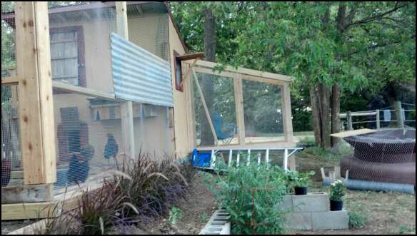 I ran out of hardware cloth to finish the big coop so I decided to start on the breeder pen with the scraps I had stashed. Its turning out pretty nice.