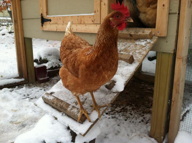 I resent you for this white stuff