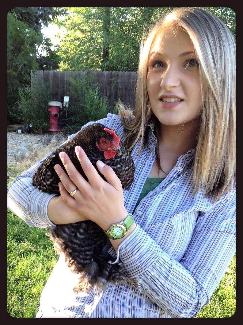 I shouldn't play favorites, but... So far our barred Cochin has been mine. She is just so sweet!