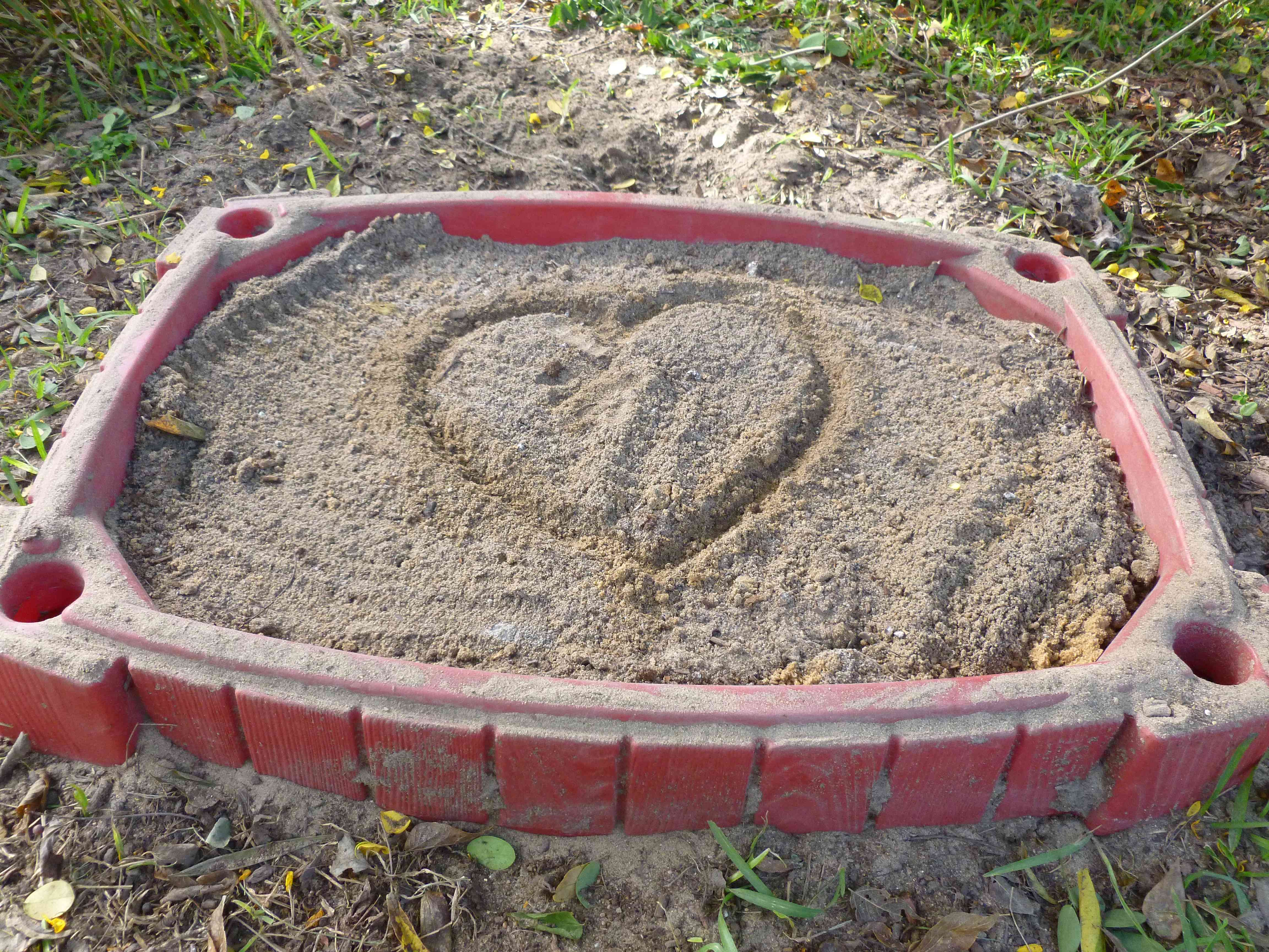 I splurged on a sand box. Very popular with the gals. A mix of play sand, peat, DE, and, if I have any, some wood/charcoal ash. I keep the bath near the pen area and they get to use it whenever roaming the yard.