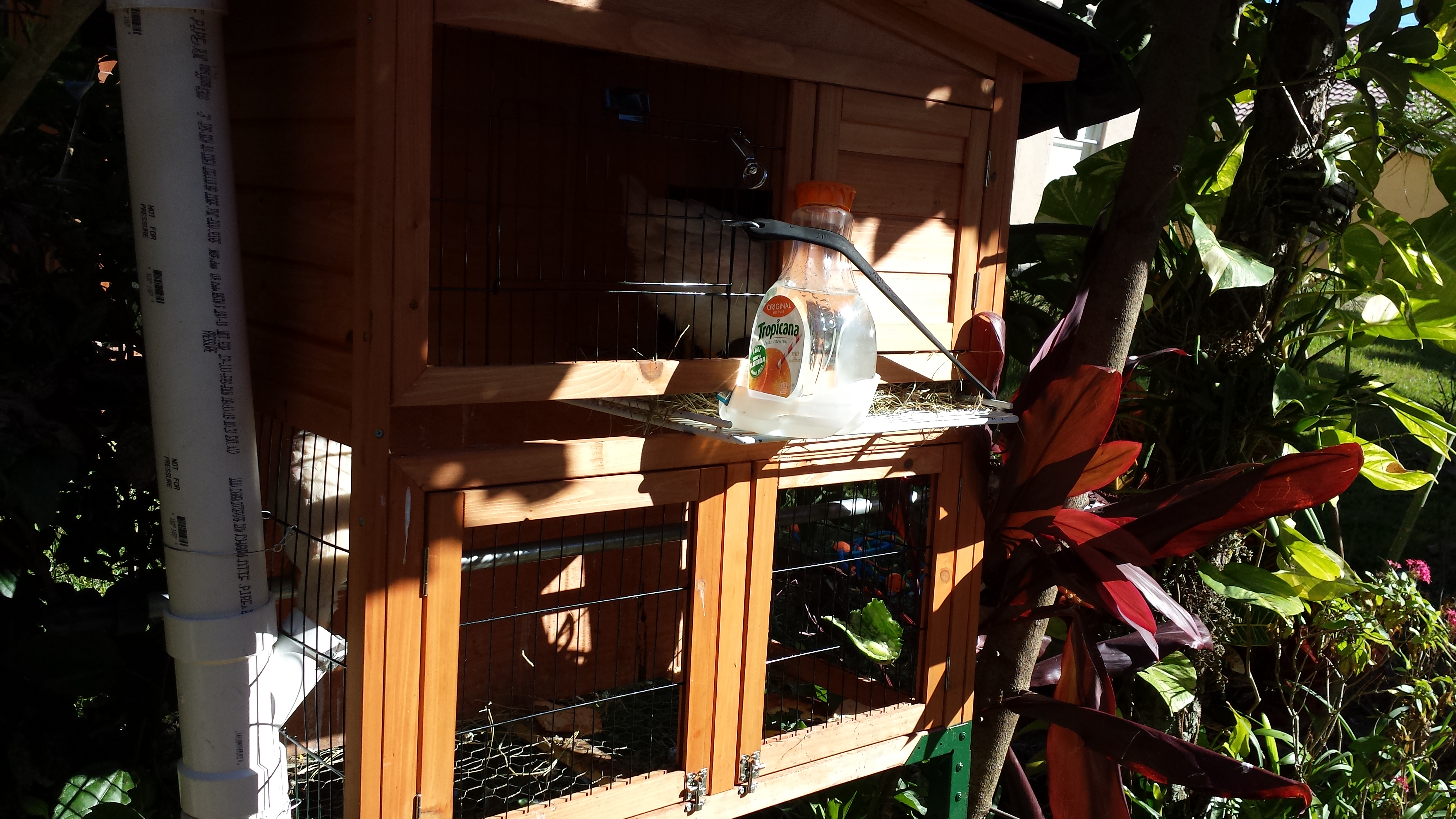 I started with this coop I got on ebay but as time went by I wanted to give them more space so off to home depot I went lol