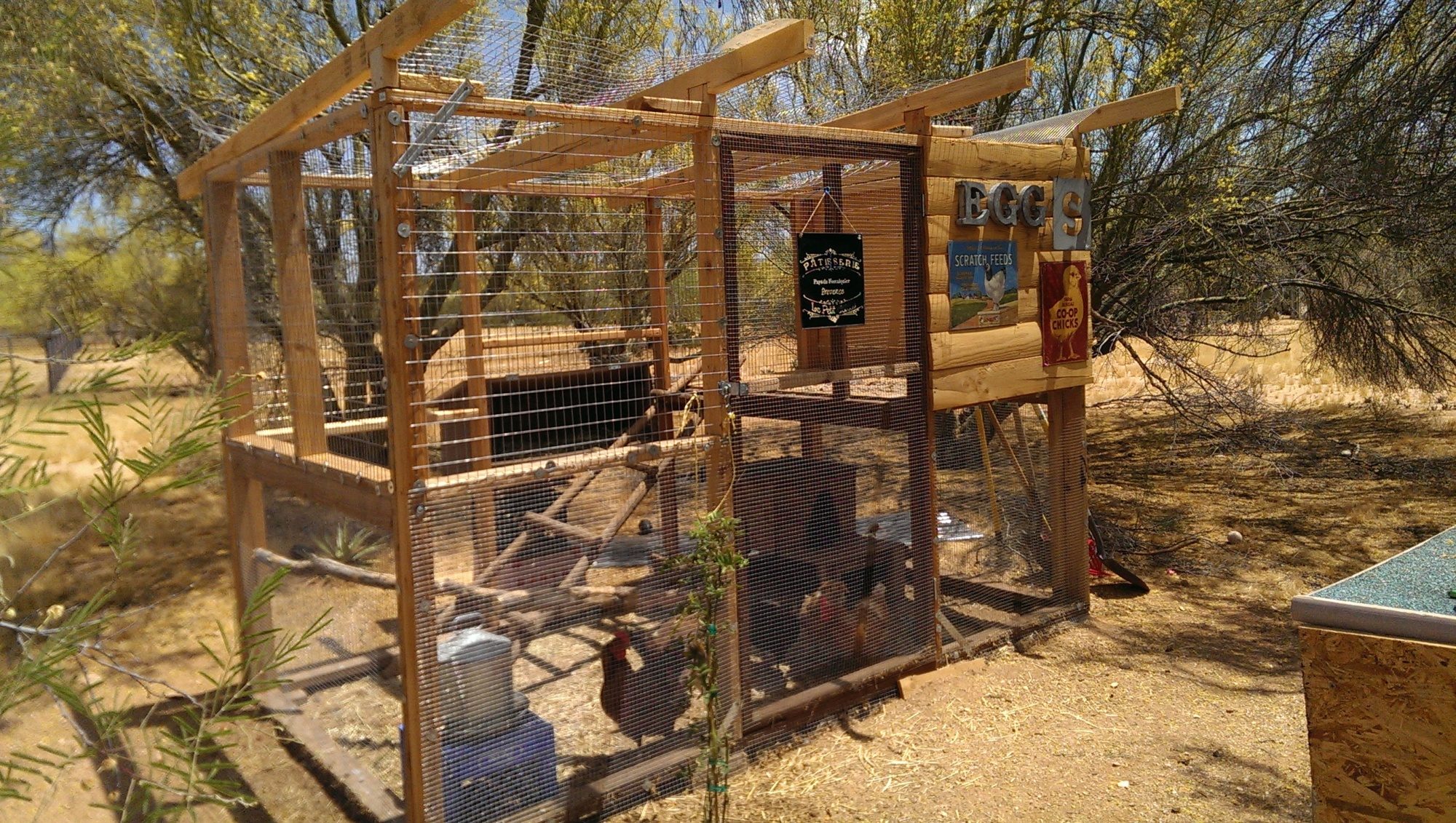 I still need a roof! I'm looking for used corragated metal roofing material. For shelter, they go under the floor of the hen "house" (uh ... veranda?). It doesn't rain too much here, but I do plan do get it done before monsoon season.