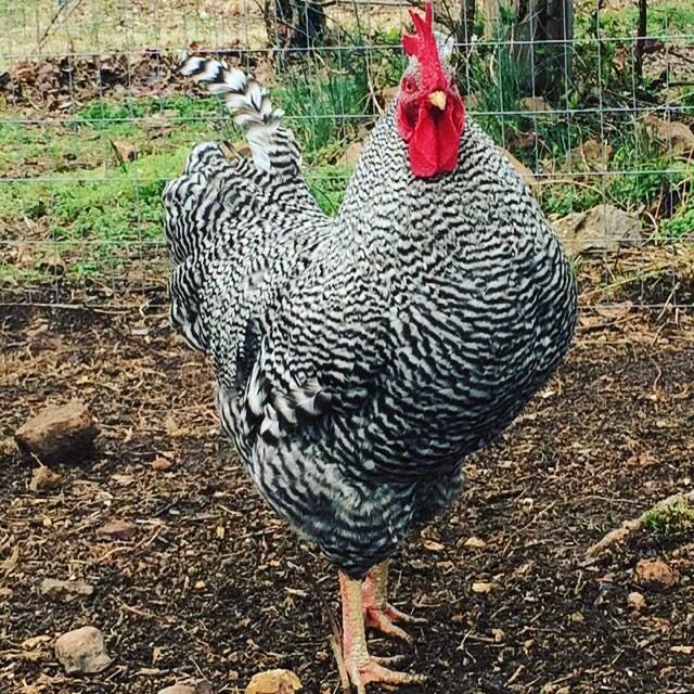 I swear he gets prettier each day!