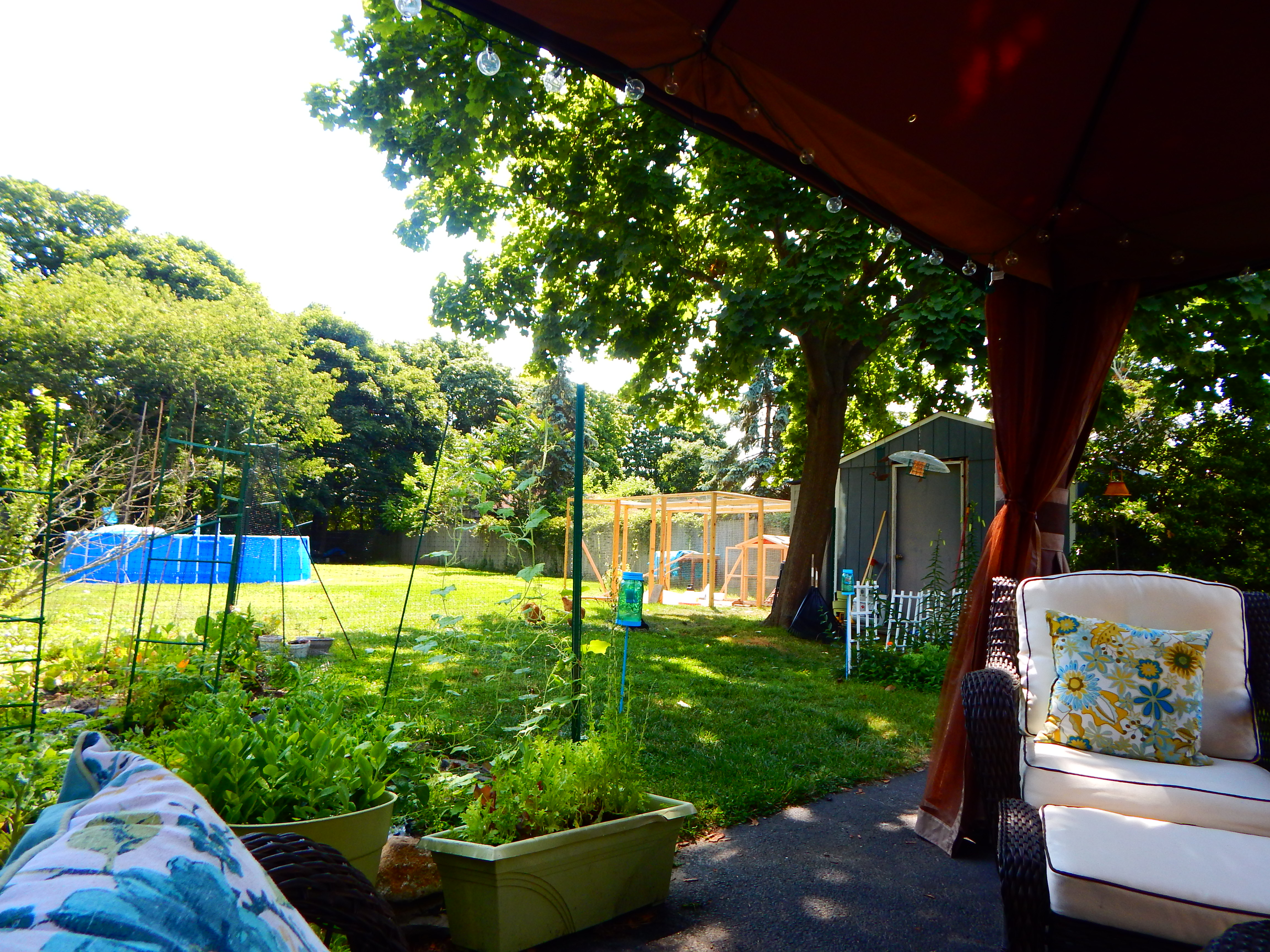 I think it blends in with the yard nicely : )