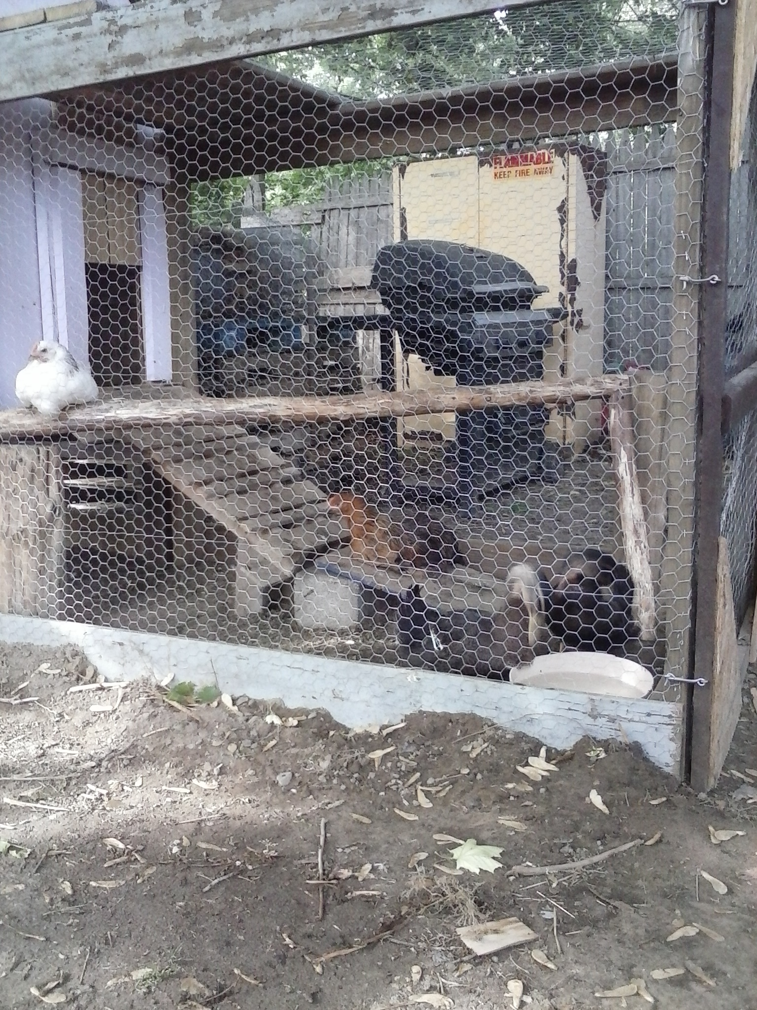 i think they are loven it