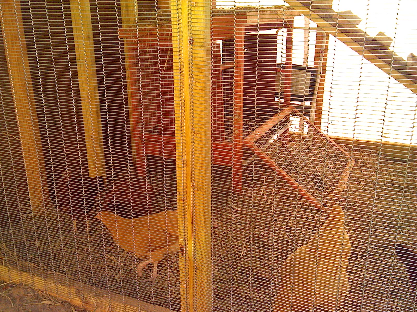 i think they really like it!