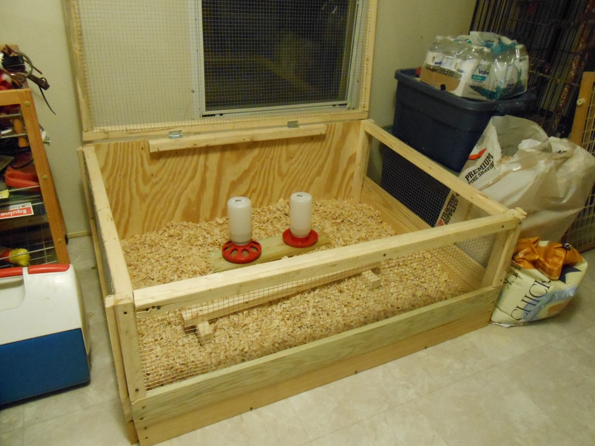 I threw this together out of desperation one rainy Friday afternoon, when the Peeps had escaped from the guest room bathtub one too many times! Ha! They only lasted a week in the bathtub!