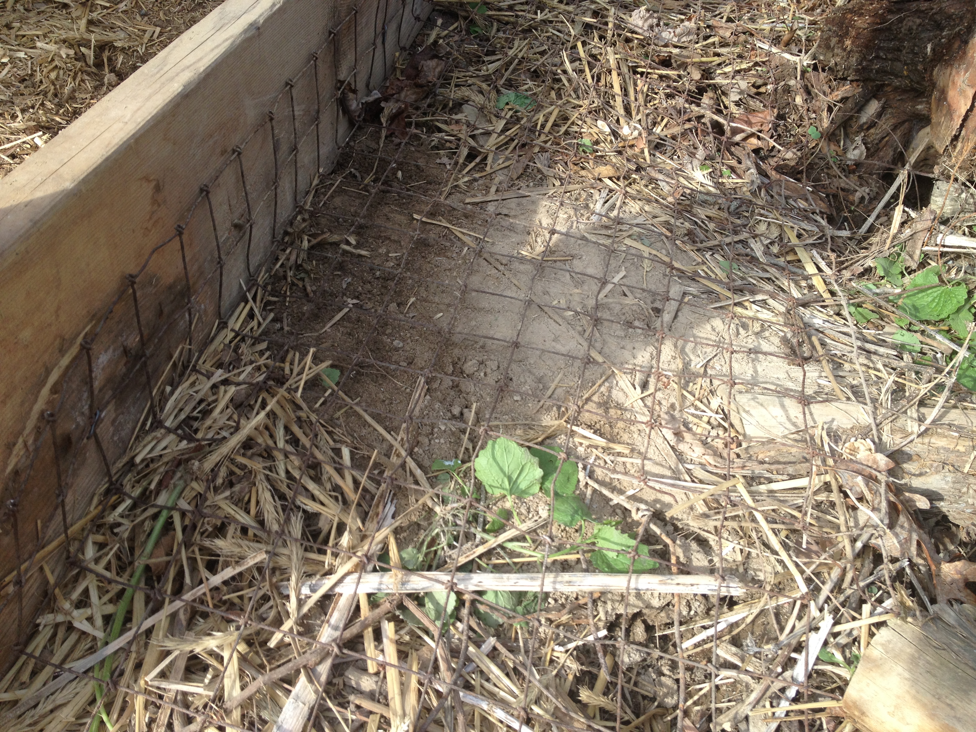I took the old wire and attached it to the bottom of the coop.  It extends out at ground level about 18 inches.  depending on what side of the coop it was, I then covered it with either dirt, rocks, or old busted up concrete.  Should help with predators. (if this isn't enough, PLEASE tell me!)