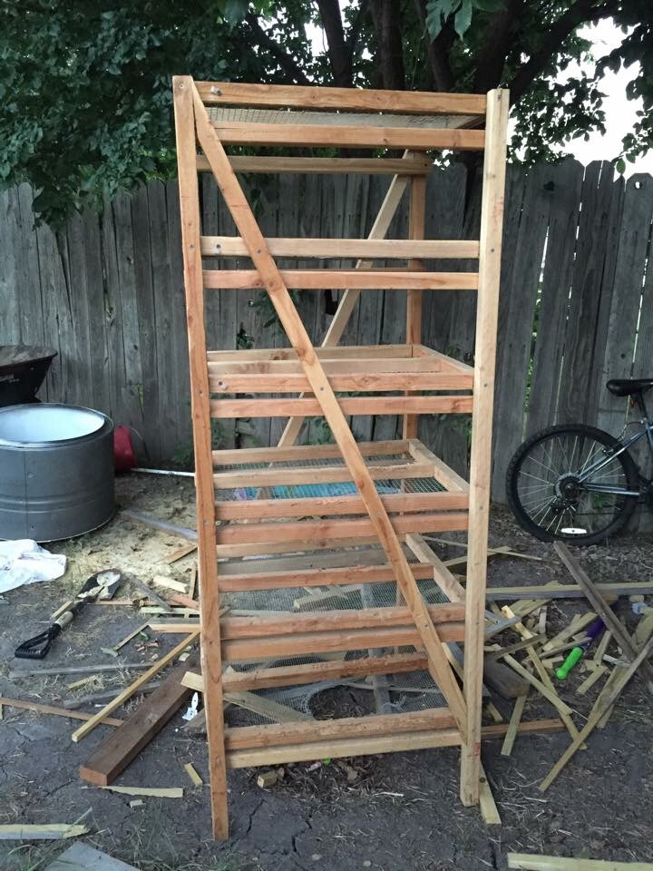 I traded some homemade egg rolls for this rack. It was originally used to breed mice but hadn't been used in a year. I sprayed it down with bleach and let it sit in the sun for a few days. There were black plastic tubs that slid in the rack that actually had the mice in it. I'll use them for something else.