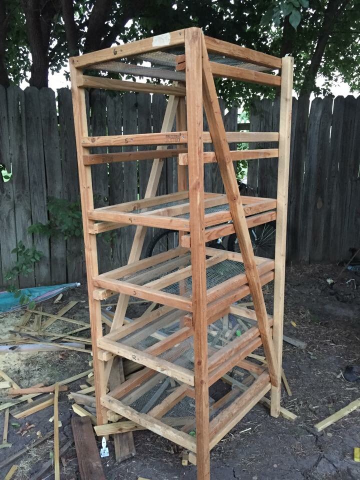 I traded some homemade egg rolls for this rack. It was originally used to breed mice but hadn't been used in a year. I sprayed it down with bleach and let it sit in the sun for a few days.