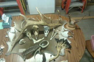 I use and re-use everything.