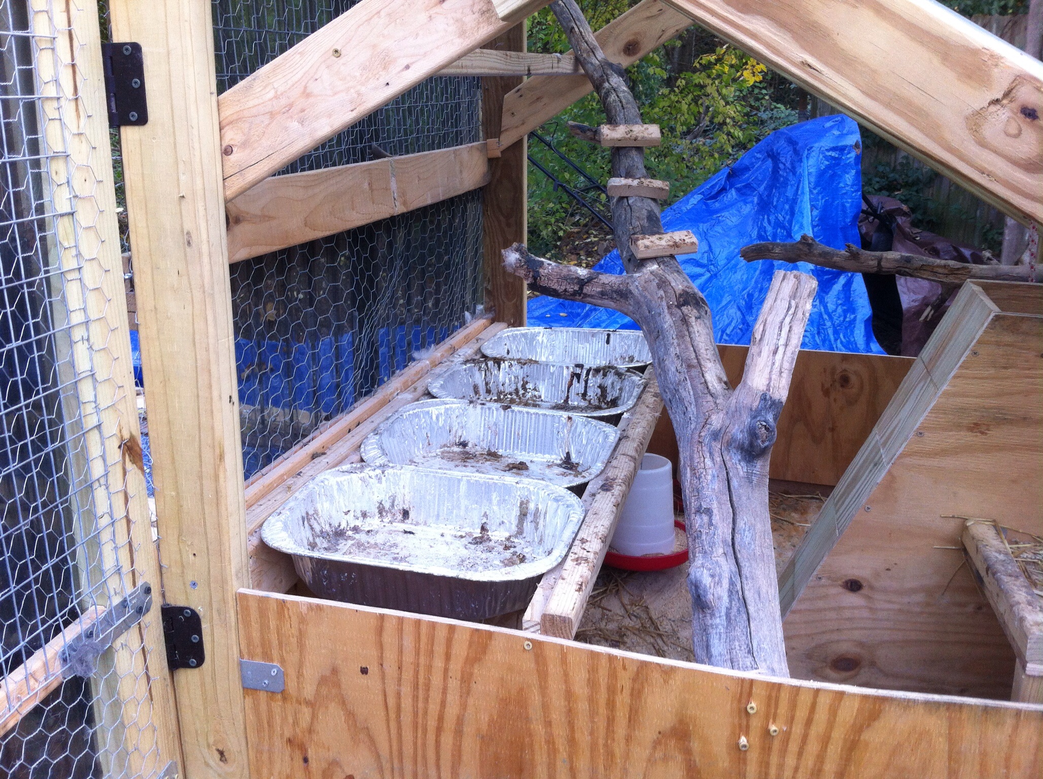 I use through away roasting pans to collect litter under the roosting area. Not shown is a plastic grid to cover the litter pans.