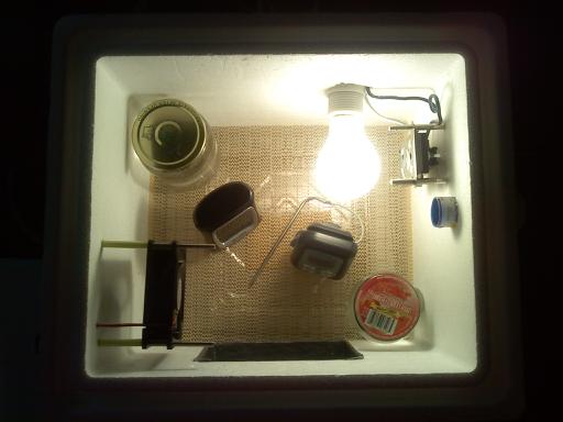 I used a water heater thermostat. I have it on screws that I can adjust from the outside to move it closer or further away from the bulb. I can also adjust the temp from outside of the incubator. I also am using the water jars this time to help keep temp steady.