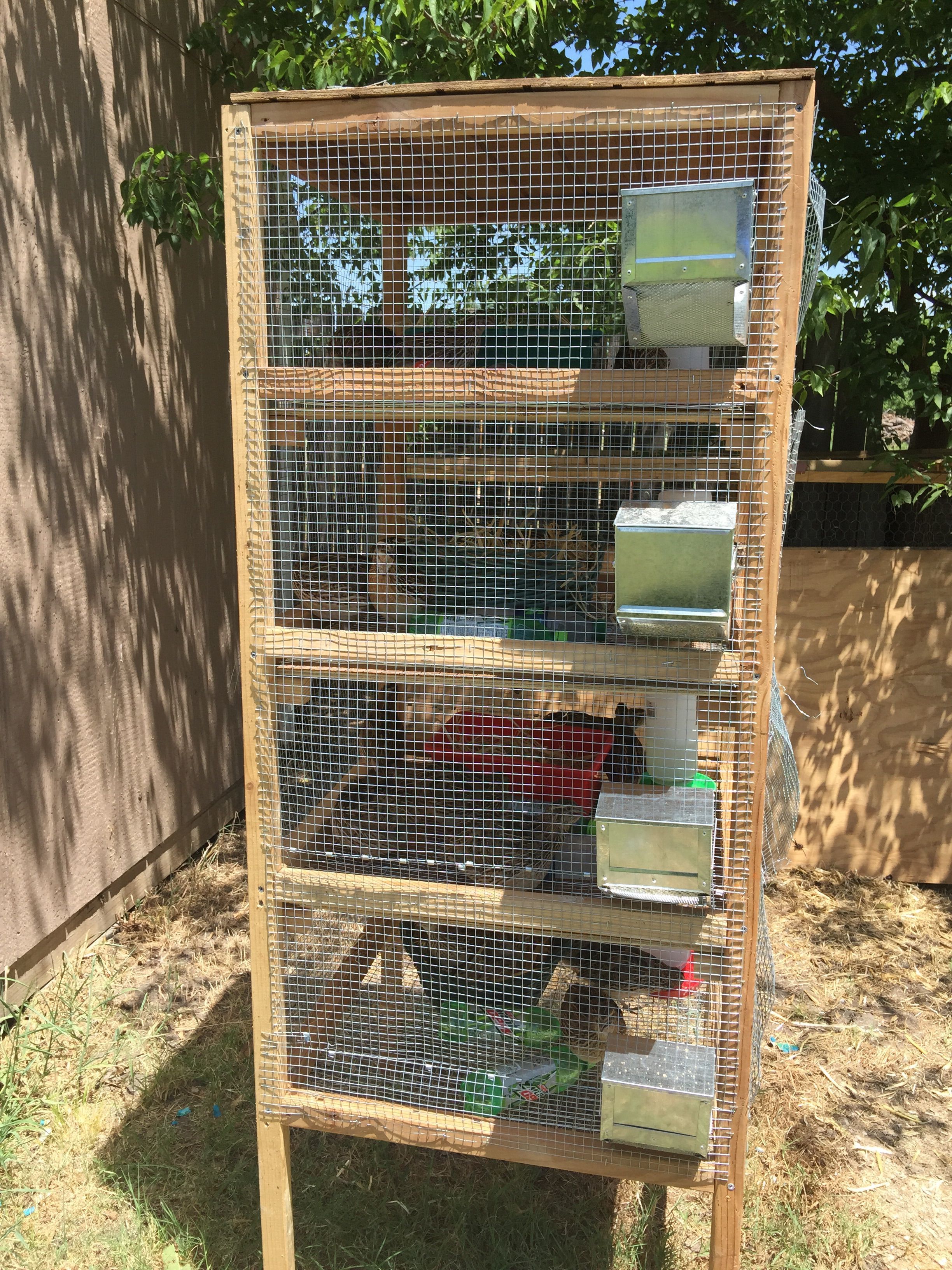 I used rabbit feeders for their food. I didn't want anything completely on the outside because I didn't want them sticking their heads out to eat and then get them bitten off by something. Or worse, having their food source be a way in for snakes.