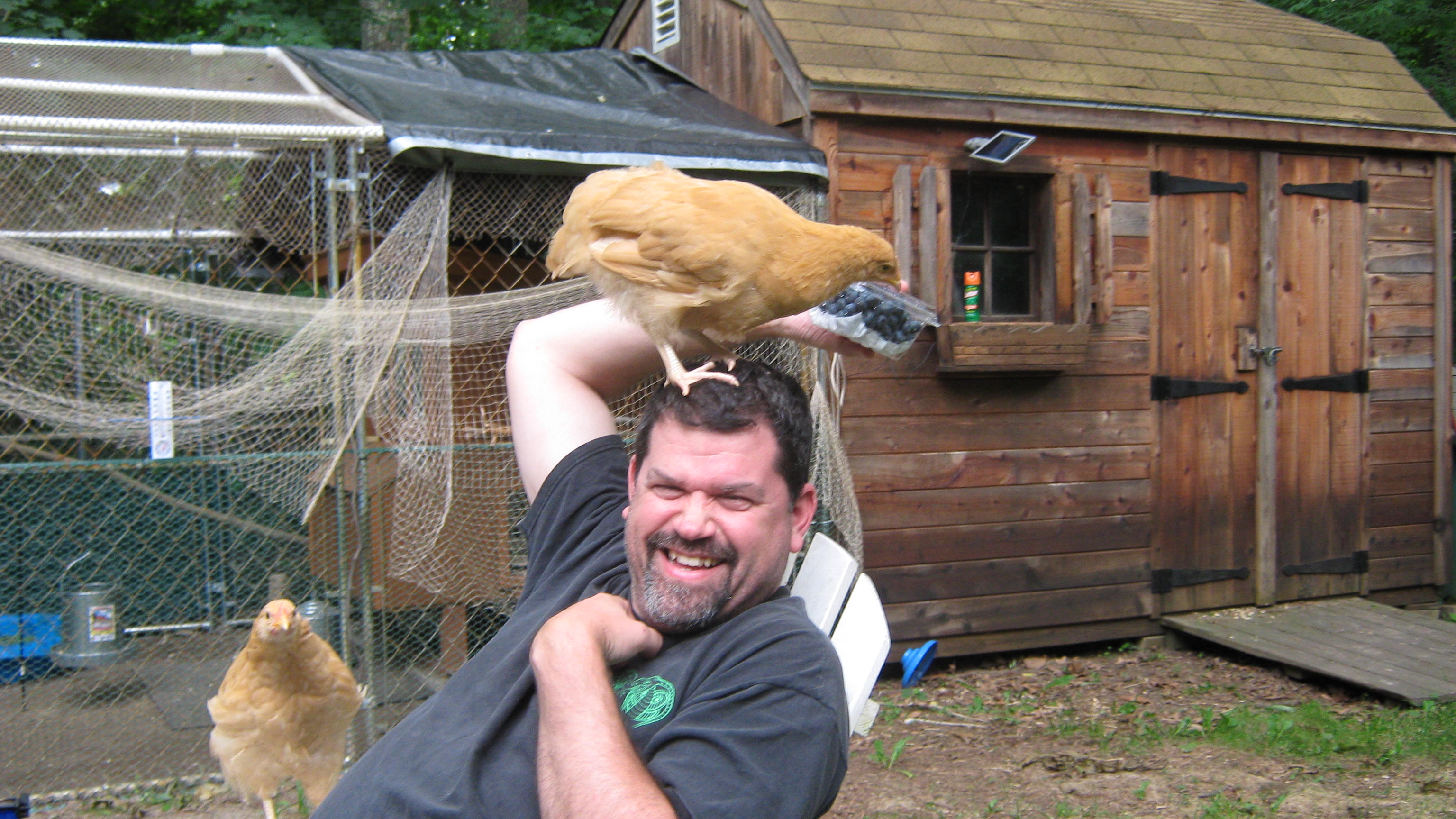 I was laughing so hard I could barely hold the camera!!  (Uh oh, here comes another one!)  He was surrounded but these two were really demanding =)