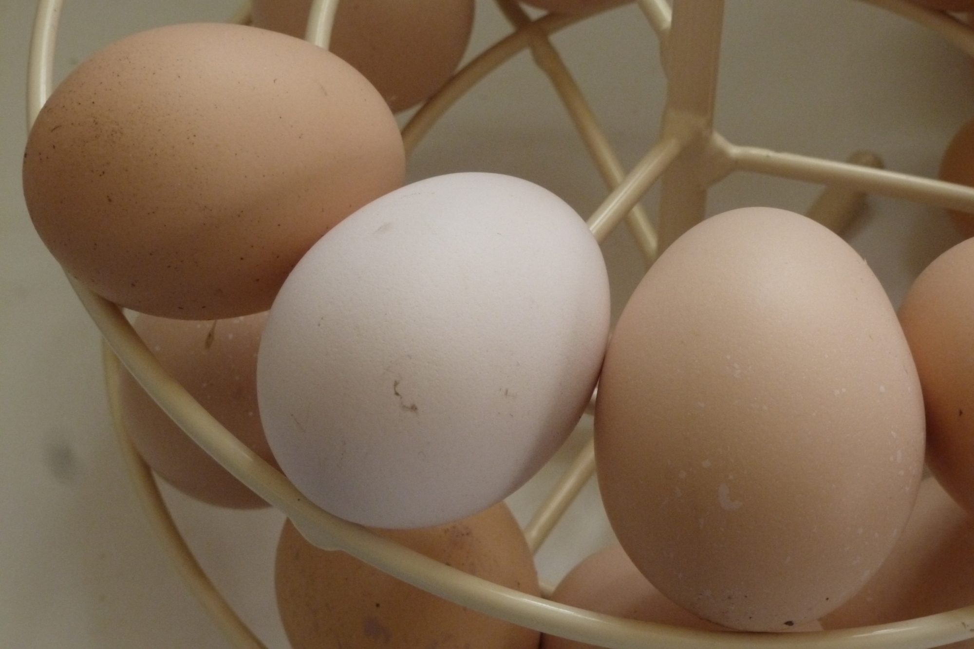I was surprised to find a very pale pink egg yesterday, instead of the usual light brown ... maybe a special Easter edition??!!
