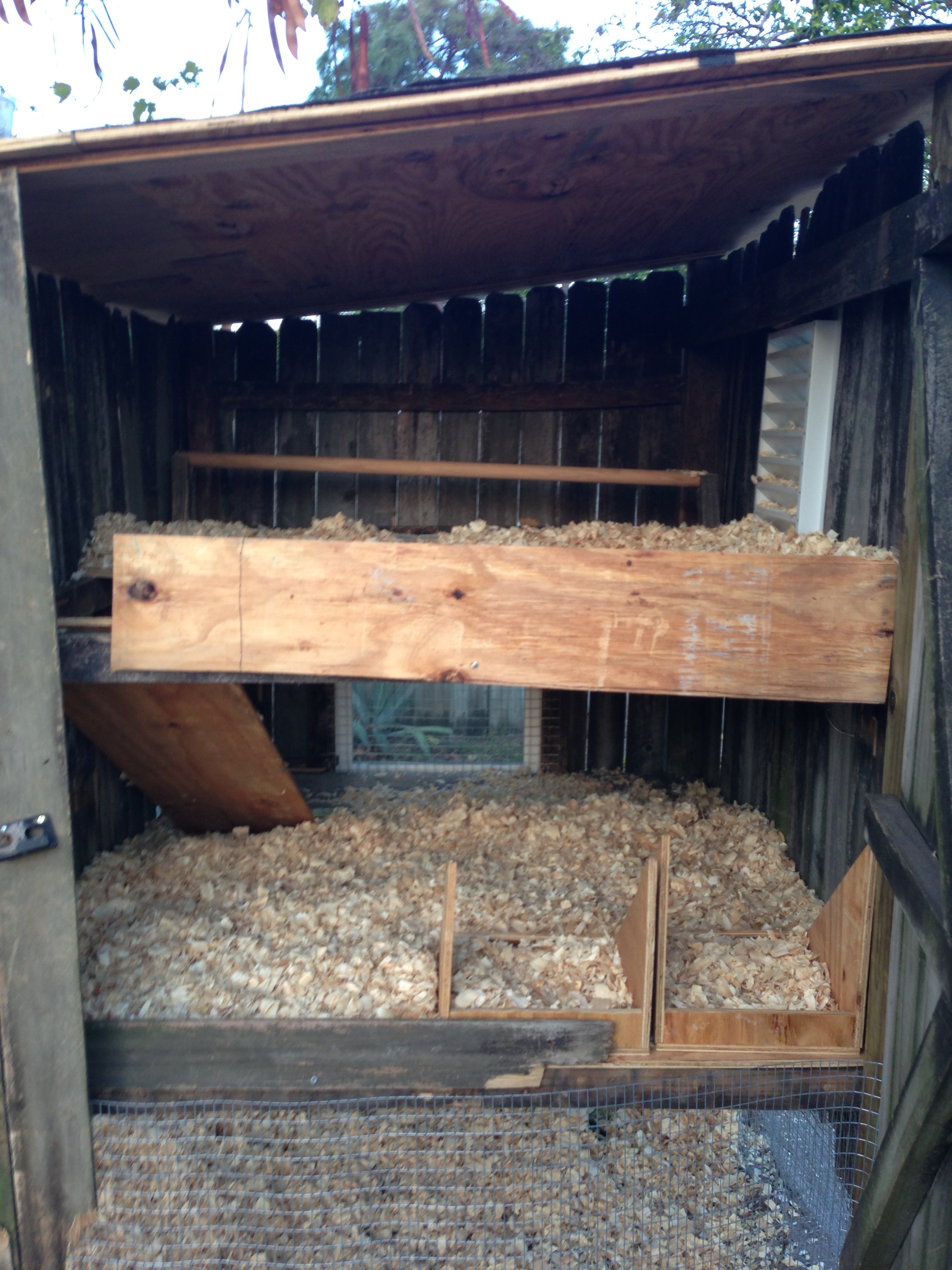 I went to get Hay from the feed store and learned chickens in the area were dying because they were trying to eat the hay and getting impaled....so i got some pine shavings!!!
