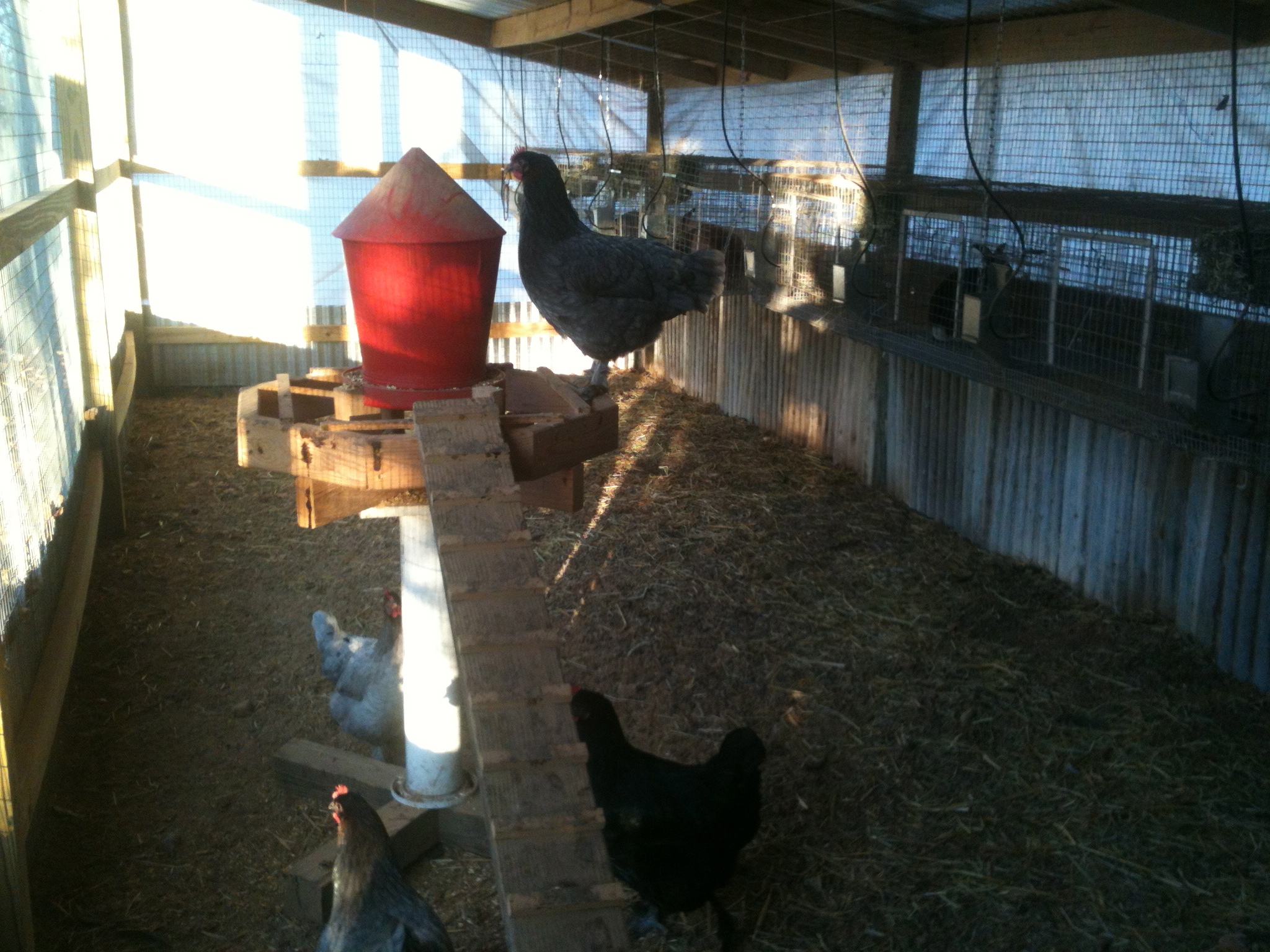 I wrap the screened end on the back and far side with heavy mill plastic during the winter to block the wind